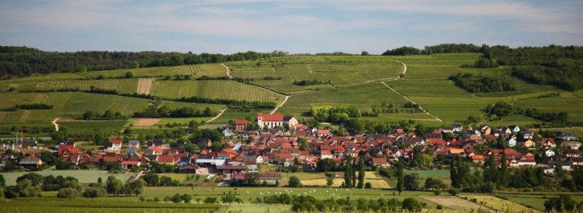 Une vue de Dangolsheim où se trouve le Gîte de La Maison de Pamela